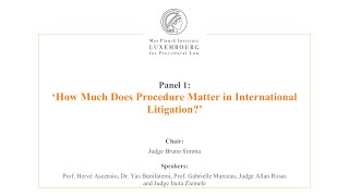 International Law and Litigation - 1 - How Much Does Procedure Matter in International Litigation?