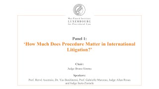 International Law and Litigation - 1 - How Much Does Procedure Matter in International Litigation?
