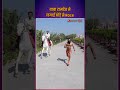 बाबा रामदेव ने लगाई घोड़े से Race Baba Ramdev Race Wit