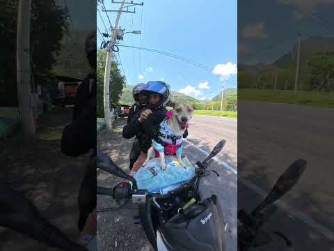 De Armenia Quindío a fomeque Cundinamarca