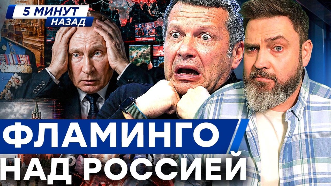 Вот это Соловьева ПОНЕСЛО! «Фламинго» выжгла завод в Чебоксарах.  Война приш?