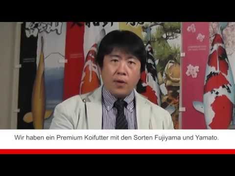 JPD Japan Koifutter