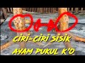 CIRI CIRI KAKI AYAM PUKUL K O