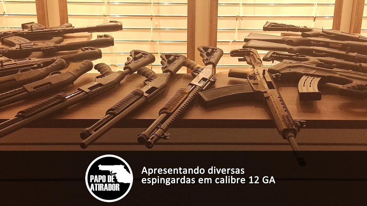 Apresentando diversas espingardas calibre 12 GA