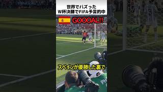 W杯決勝のFIFA絵本予言的中