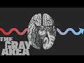 Your Brain S Role In Your Politics The Gray Area