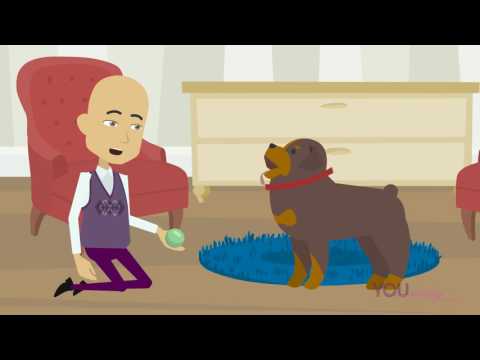 Beendigung und/oder Aussetzung