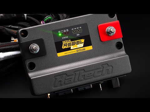 😮 New Product Preview: Nexus Rebel LS