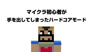 【マイクラ】眠れない時【寝落ち枠】