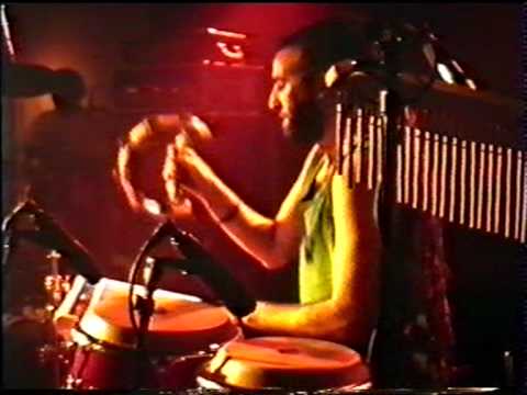 Revolutionary Dub Warriors - Insight