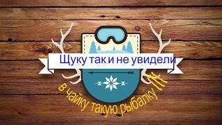 Отчеты о рыбалке в верхней сысерти