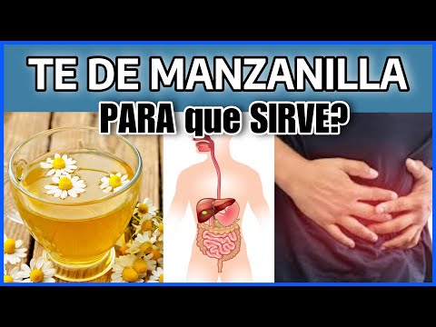 TE DE MANZANILLA POR LA NOCHE ¿Para Qué Sirve? BENEFICIOS DE LA MANZANILLA PARA SALUD Y BELLEZA
