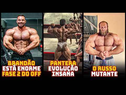 BRANDÃO Huge Advance to Phase 2 of the Off-Season! PANTERA Impresses and RUSSOS Scare the Open!