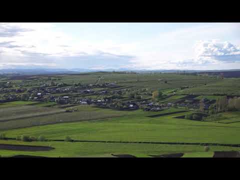 la hotar la Radaseni