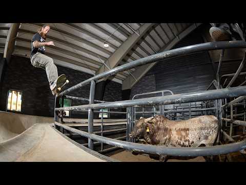 MASHER: Bowls and Bulls