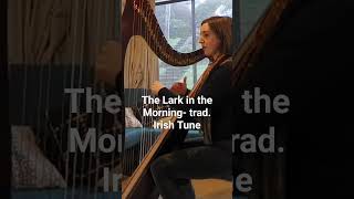 The Lark in the Morning- trad. Irish tune on the harp #harpist #harpplayer #harps #harpmusic #harpa
