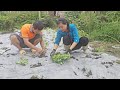 Mr Huong Helps Tuyet Start Growing Vegetables For The Winter Crop