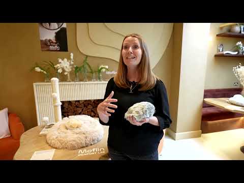 Moflin Review Video 2