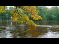 Crystal River-Mudcrutch