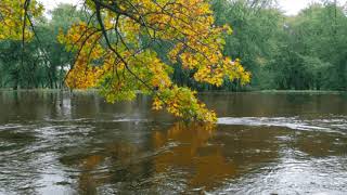 Crystal River-Mudcrutch