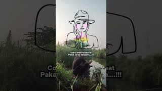 Download lagu SAFE AND SOUND REBELUTION REMIX GEMOY DJ GEMOY SKA REGGAE HOREG VERSION mp3