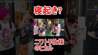 寝…起き？のニワトリ頭なヒカル　#shorts