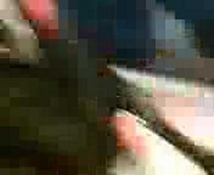 itzehoe nach Wilster