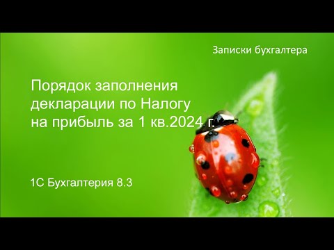 Декларация по налогу на прибыль 1 квартал 2024 года в 1С