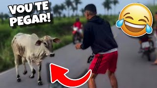 TENTE NÃO RIR: OS MELHORES VÍDEOS DA INTERNET #videosengracados #tentenaorir #humor #comedia #memes 