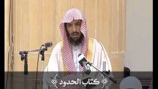 صورة الحلقة--28 [كتاب الحدود إلى حد السرقة] عمدة الفقه