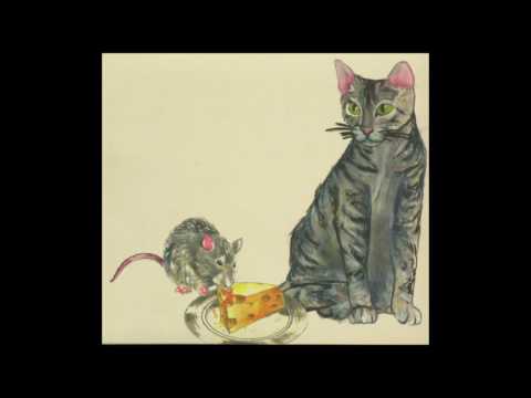 Gatos E Ratos video