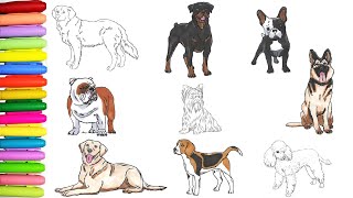 Popular Dog Breeds coloring book! 🐾🐩