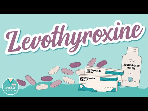 Levothyroxine and How It Works | Pharmacology help for Nursing School