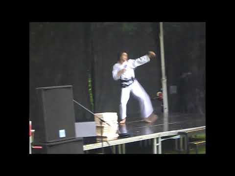 Play2be 2011 Taekwon-Do Reutlingen