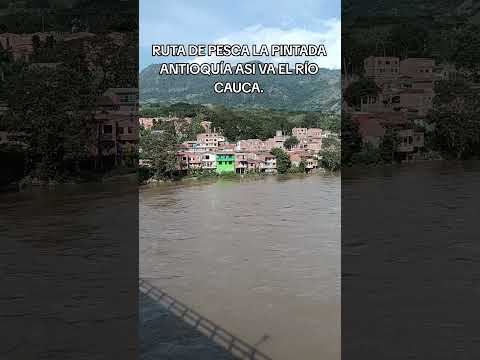 RUTA DE PESCA LA PINTADA ANTIOQUÍA RÍO CAUCA ASÍ VA.