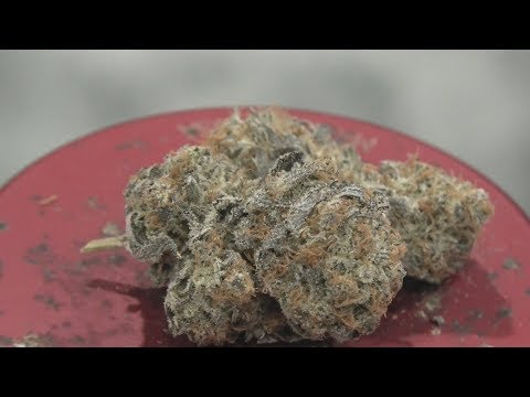 Glueberry OG Marijuana Monday