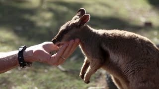 What to See & Do in Alice Springs, NT, Australia
