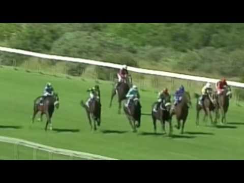 JULIUS BAER POLITICIAN STAKES (Grade 3) 2014