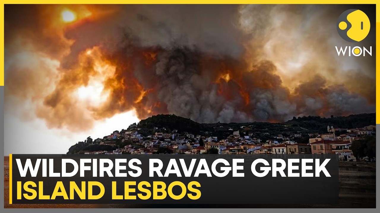 Europe Wildfires: Firefighters Scramble To Douse Blaze | WION News