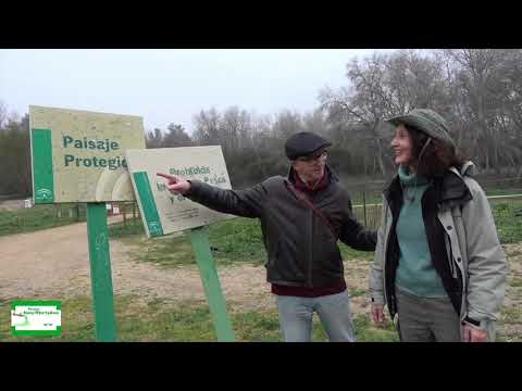 Entrevista a Félix Talego