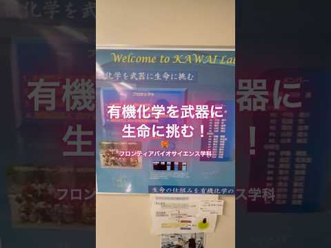 バイオデータサイエンス学科 細胞の中を見える化する「蛍光プローブ」