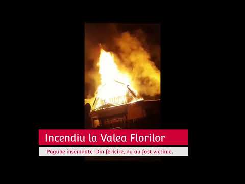 Incendiu devastator la Valea Florilor! (22.04.2022)