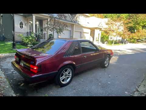 **SOLD on the CCC Buy-It-Now Lot** 67K km One Family-Owned 1985 Ford Mustang GT Cobra 5-Speed Manual