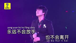 许多年以后 Xu Duo Nian Yi Hou  - Zhao Xin 赵鑫 KTV