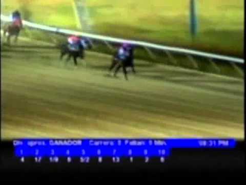 Resumen Viernes, 17 de Febrero de 2012 - Valencia