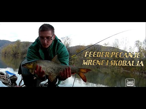 FEEDER PECANJE MRENE I SKOBALJA ( NOVEMBAR ) 2021