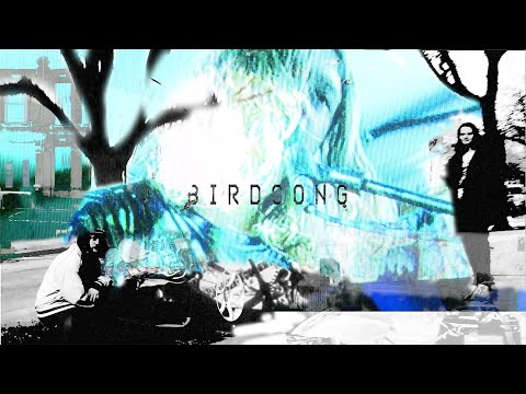 Punchlove - Birdsong (Music Video)
