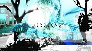 Punchlove – “Birdsong”