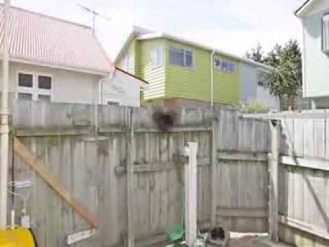 396 Broadway, Miramar Wellington East