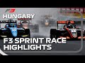 Formula 3 Sprint Race Highlights | Hungarian Grand Prix